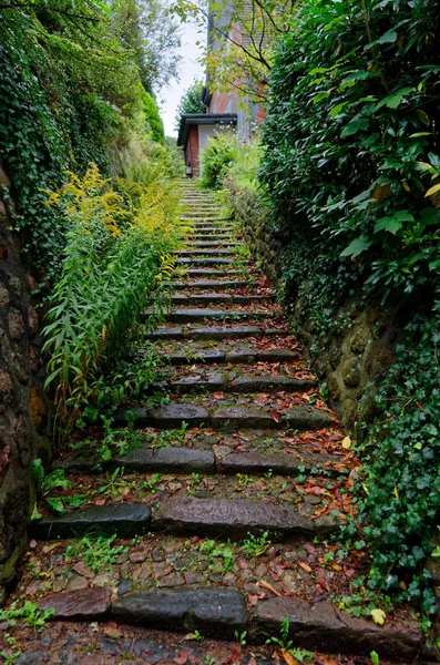Merdivenlere bir evde sözde Treppenviertel (Beam'im merdiven üç ay) Hamburg Blankenese, Almanya