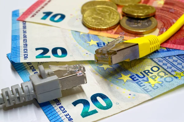 Bir çift ethernet kablo konektörünün Euro banknot üzerinde yalan