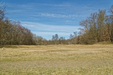 Güzel panoramik manzaralı ilkbaharda bir orman tarafından çevrili bir alan. Doğa rezerv Boberger Niederung Hamburg, Almanya