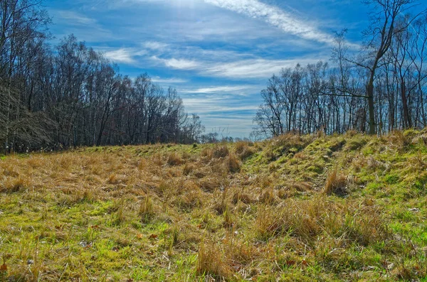 Güzel panoramik manzara mavi bulutlu gökyüzü karşı ağaçlarının arasında bir alanının. Doğa rezerv Boberger Niederung Hamburg, Almanya