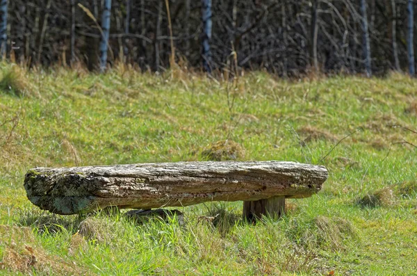 Bir orman içinde geçmiş olan bir alana üzerinde eski rustik ahşap Bank. Doğa rezerv Boberger Niederung Hamburg, Almanya