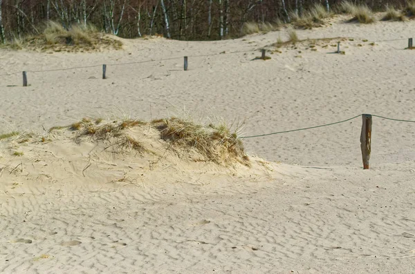 Sanddünen Naturschutzgebiet Boberger Niederung Hamburg Deutschland — Stockfoto