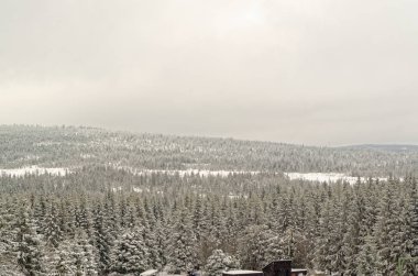 Kış manzara ormanlık Dağları Harz bölgesinde, Almanya'nın. Bu fotoğraf Sonnenberg Kayak bakırlı alınmıştır.