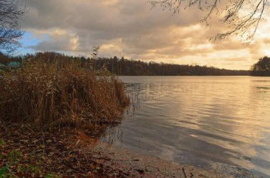 Gün batımı göl ön planda bir kamış ile üzerinden. Siek İlçesi Kuzey Almanya