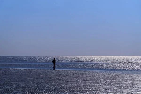 Sahildeki tek bir insanın silueti ufka doğru bakıyor.