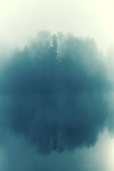 Bois Automne Tôt Matin Reflète Dans Eau Brouillard Épais Une — Photo
