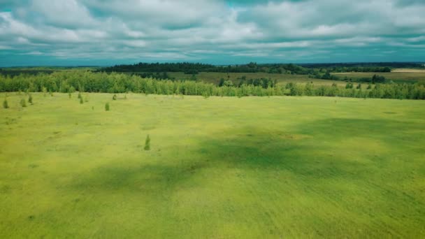 Fliegen Über Eine Grüne Wiese Horizont Wald — Stockvideo