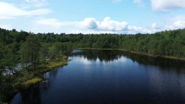 Fliegen Über Einen Schönen Kleinen See Mit Blauem Wasser Umgeben — Stockvideo