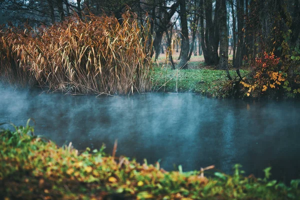 Höstlandskap. Liten flod, dimma över vattnet, gult gräs. — Stockfoto