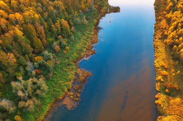 Autumn landscape. Forest and river. Aerial view. — Stock Photo, Image