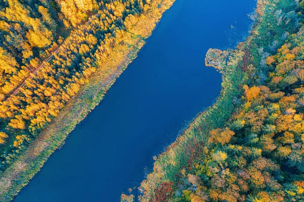 Herbstlandschaft. Wald und Fluss. Luftbild. Stockbild