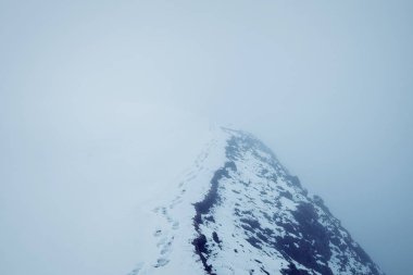 Dağlarda mistik kar izleri. Karların altında çimenleri silkeledik ve beyaz kalın sis.