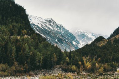 Güzel dağ manzarası, yüksek karlı tepeler, bulutlu gökyüzü, orman.