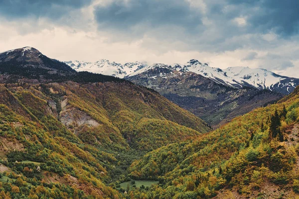 美しい山の風景、高い雪のピーク、曇りの空、森. — ストック写真