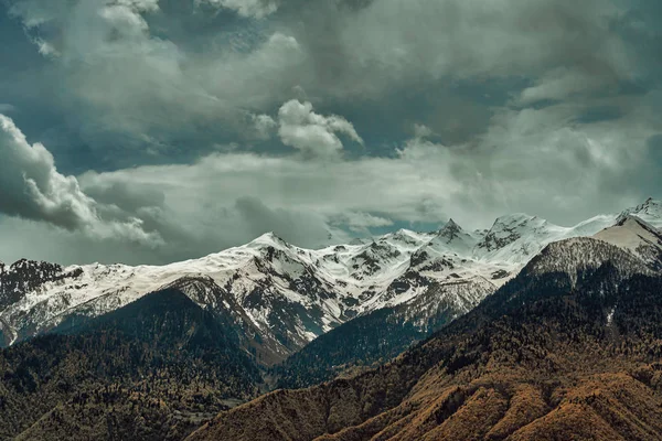 Krásná horská krajina, vysoké zasněžené vrcholy, zatažená obloha, les. — Stock fotografie