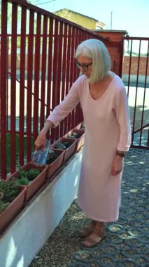 Yaşlı bir kadın bahçesinde çiçek saksısı kurarak açık havada güneşli bir günün tadını çıkardı. Resim, bakım, sükunet ve bahçecilik faaliyetleri yoluyla doğa ile bir bağlantı taşır..