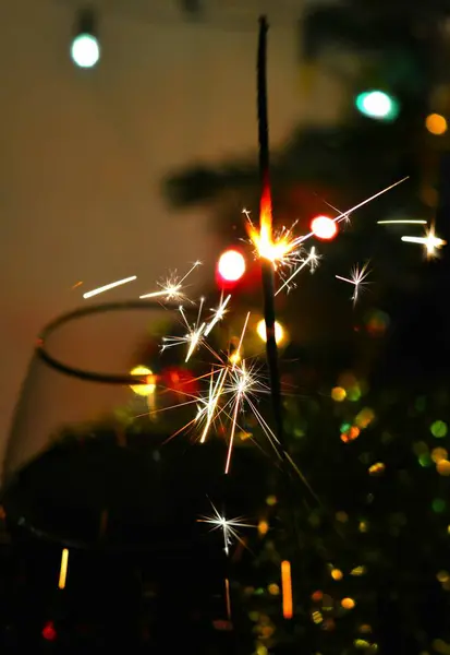 Tomtebloss Christmas Holiday Färgglada Mörk Bakgrund — Stockfoto