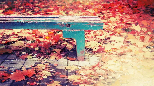 Bright Autumn Foliage Wooden Bench Park — Stock Photo, Image