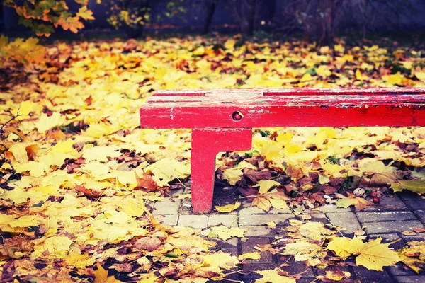 Světlé Podzimní Listí Dřevěné Lavičky Parku — Stock fotografie