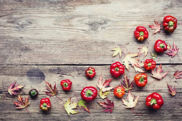 Bright Red Bell Peppers Autumnal Foliage Wooden Background — Stock Photo, Image