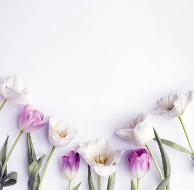 portre üzerinde kopya alanı ile beyaz arka plan üzerinde güzel ihale laleler