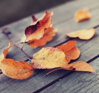 üstten görünüm sonbaharın ahşap arka plan üzerinde yerleştirilen yaprakları