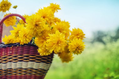 parlak sarı krizantem sepeti açık havada