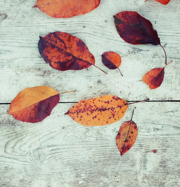 Vista Primer Plano Las Hojas Otoño Colocadas Sobre Fondo Madera —  Fotos de Stock