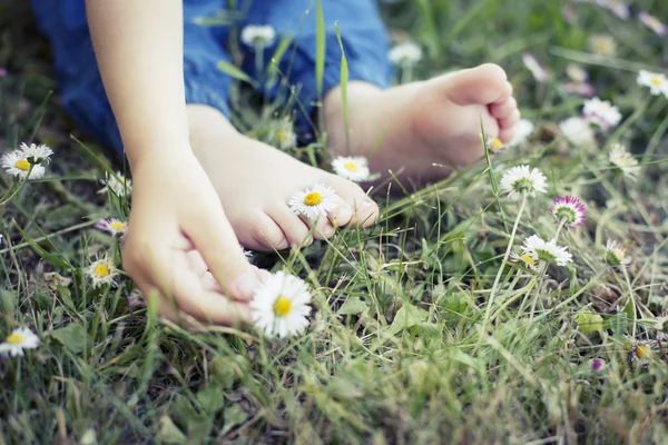 Voeten Het Gras Weide Met Madeliefjebloemen — Stockfoto