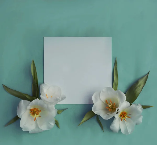Bílé Květy Prázdnou Kartu Kopií Prostor — Stock fotografie