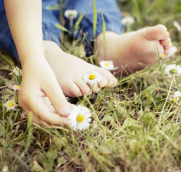 Voeten Het Gras Weide Met Madeliefjebloemen — Stockfoto