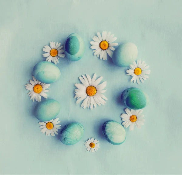 Pastel Ovos Páscoa Coloridos Com Flores Margarida Espaço Cópia — Fotografia de Stock