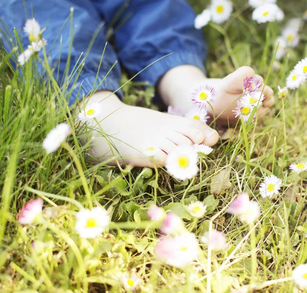 Voeten Het Gras Weide Met Madeliefjebloemen — Stockfoto