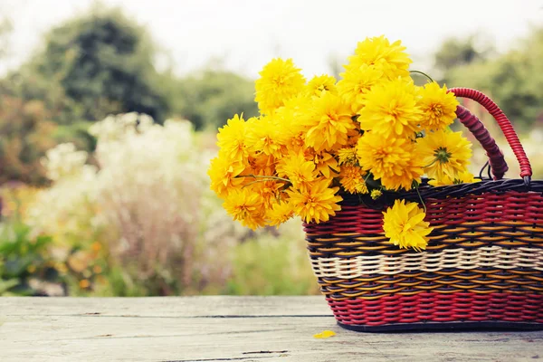 Leuchtend Gelbe Chrysanthemen Korb Freien — Stockfoto