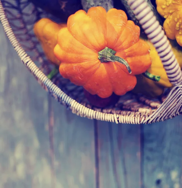 closeup view of autumn vegetables in basket over wooden table