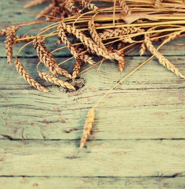 Ahşap arka plan üzerinde güzel sarı buğday