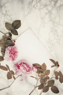 pembe güllü beyaz boş tebrik kartı