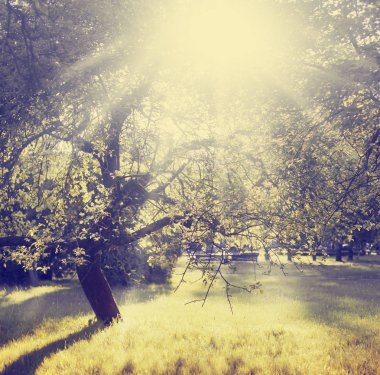 Güzel manzaralı muhteşem renkli doğa