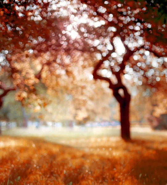 Increíble Naturaleza Colorida Con Hermosa Vista — Foto de Stock