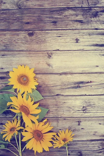 Verse Gele Zonnebloemen Houten Tafel — Stockfoto