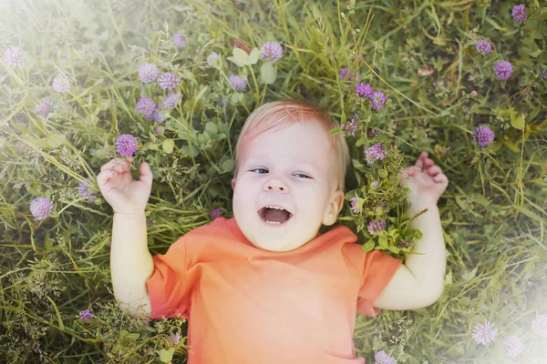 Kisgyermek Boldog Fiú Pihentető Nyári Réten Napos Park — Stock Fotó