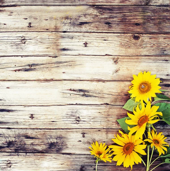 Frische Gelbe Sonnenblumen Auf Holztisch — Stockfoto