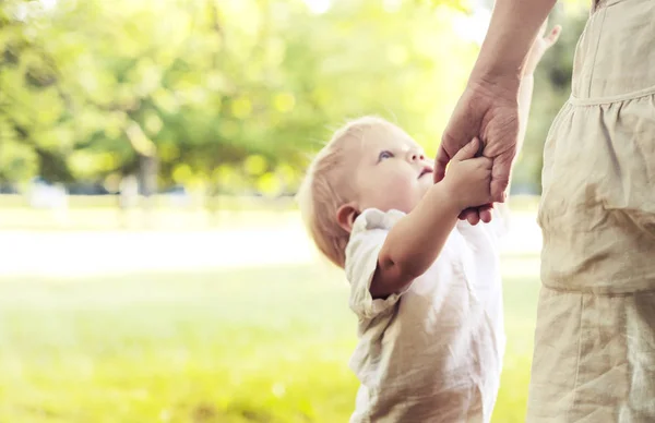 Ευχαρίστως Toddler Αγόρι Κρατώντας Χέρια Μητέρα Στο Ηλιόλουστο Πάρκο — Φωτογραφία Αρχείου