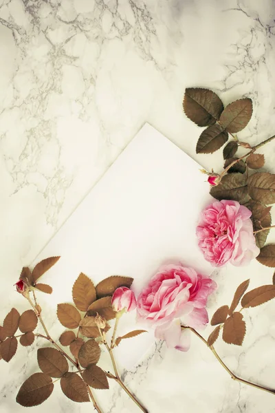 Λευκό Κενό Ευχετήρια Κάρτα Ροζ Τριαντάφυλλα — Φωτογραφία Αρχείου