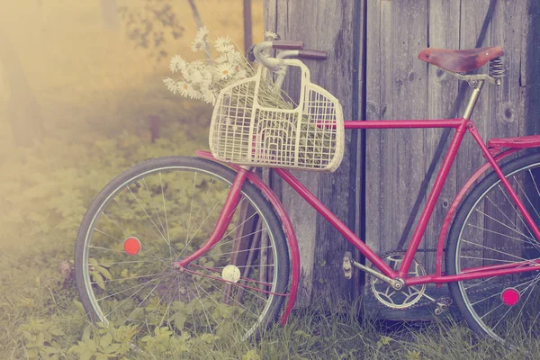 Vecchia Bicicletta Rossa Con Fiori Nel Cestino Nel Villaggio — Foto Stock