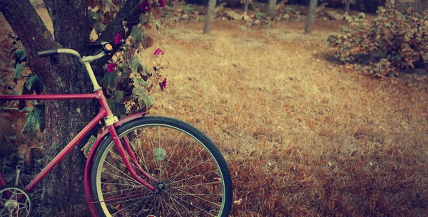 Bicicleta Roja Pie Jardín Verde — Foto de Stock