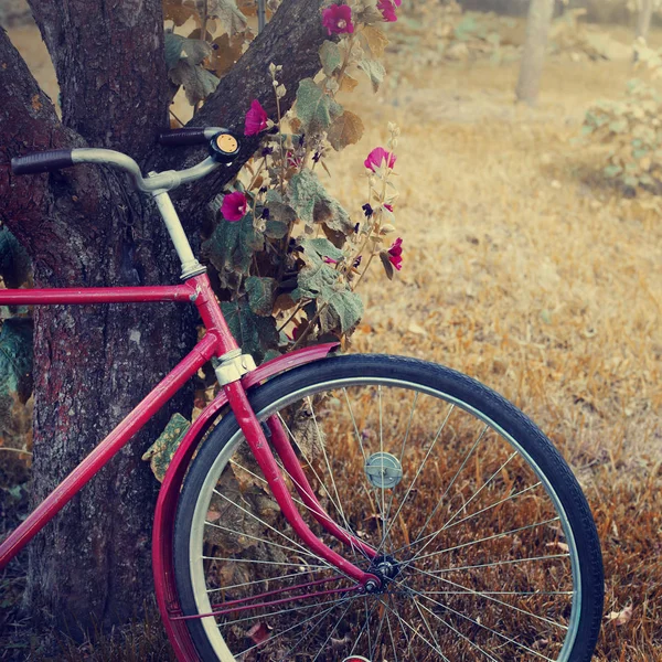 Rotes Fahrrad Steht Grünen Garten — Stockfoto