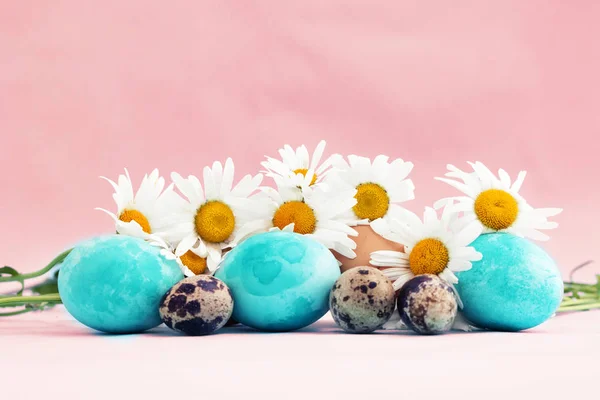 Pastel Kleurrijke Paaseieren Met Madeliefjebloemen Kopie Ruimte — Stockfoto