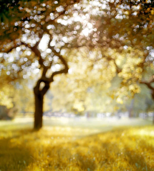 Increíble Naturaleza Colorida Con Hermosa Vista — Foto de Stock