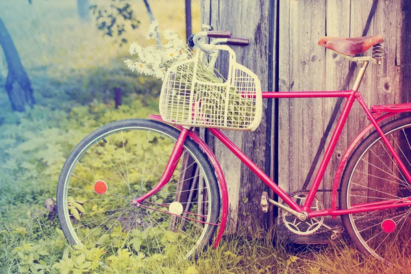 红色老自行车与鲜花在篮子在村庄 — 图库照片